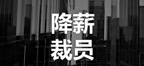 技术壁垒下的商业抉择 一则关于坚守与转型的商业案例剖析
